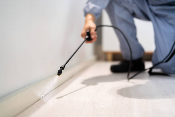 Licensed Pest Control service in George Mason, VA - Show Me Pest Control