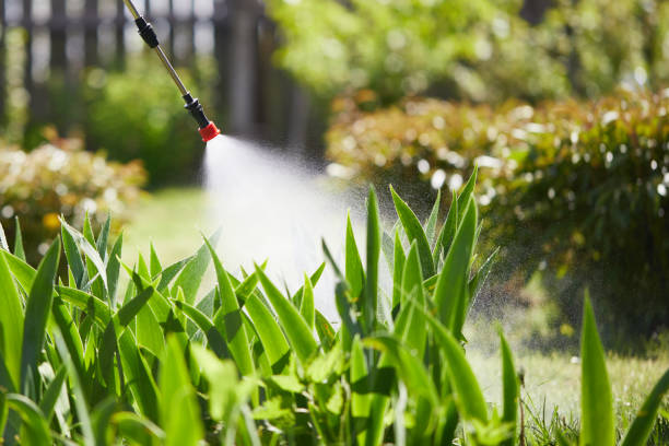24/7 Emergency Mosquito Control experts in George Mason, VA