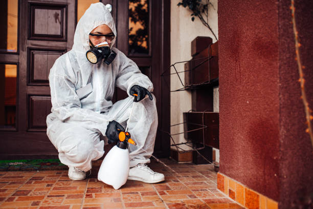 Reliable Mosquito Control contractor in George Mason, VA by Show Me Pest Control