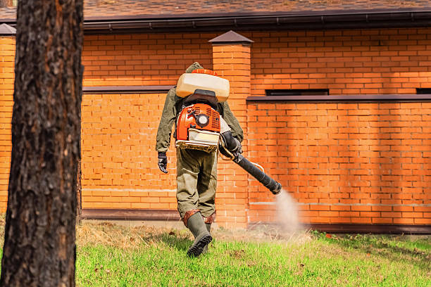 Top rated local Mosquito Control specialists in George Mason, VA